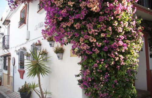 Elviria Apartment - Photo 45