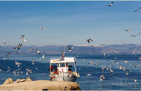 Traditional Fishing Village Apartments - Foto 41