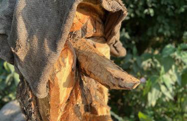 Agroturystyka Raj "Pod rzeźbami" - Photo 69