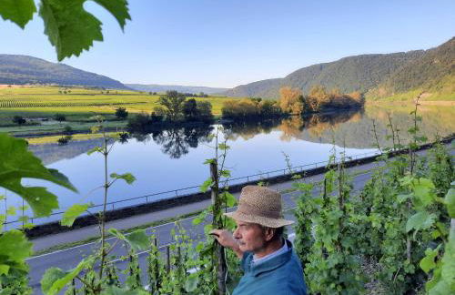 Ferienwohnung Gerhard Lenz - Foto 41