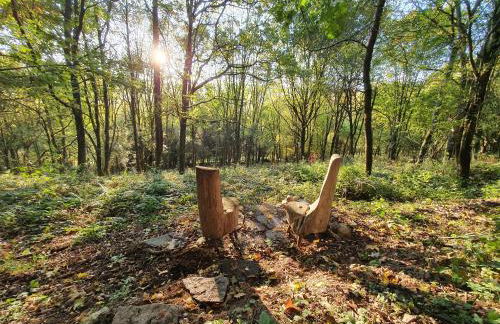 Wegfreiheit II - Foto 16