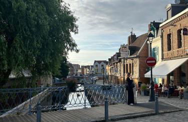 Bel appartement rdc détente Balnéo & Ciné & Terrasse proche Centre Gare Amiens - Foto 20