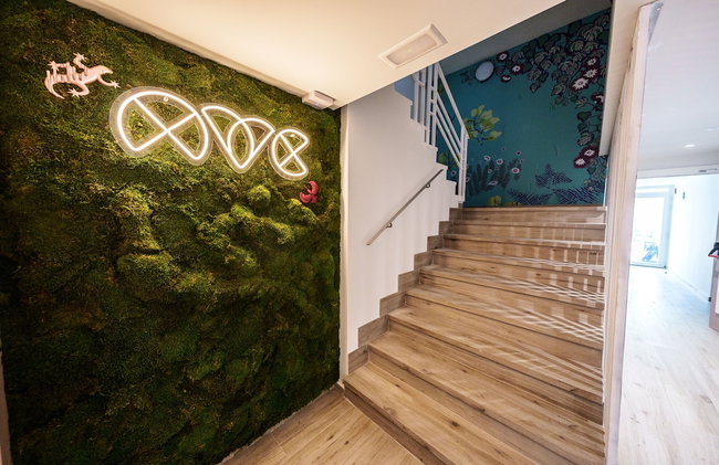 Spirit Apartamentos Valladolid Centro - Foto 4