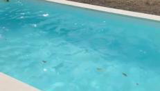 Holiday Home NOEL - NATURE & POOL - Foto 2