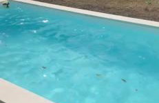 Holiday Home NOEL - NATURE & POOL - Foto 2