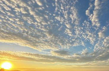 Studio New York - Foto 23