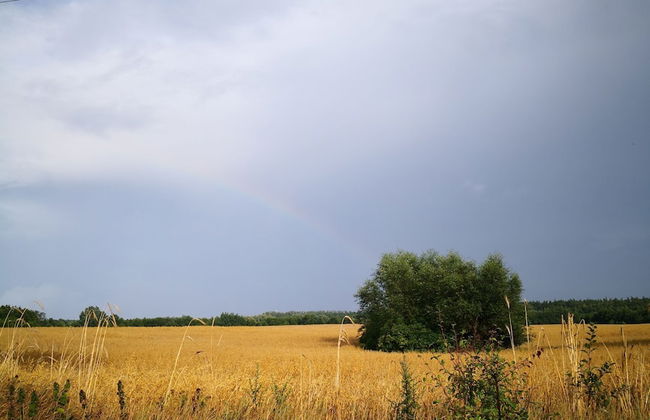 Domki Drewniane Świętne - Photo 14