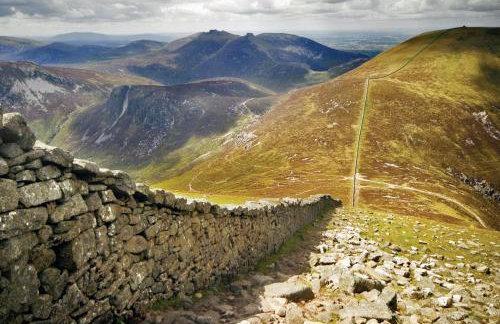 Oaktree Manor - BBQ, games rooms and pet friendly - Photo 41