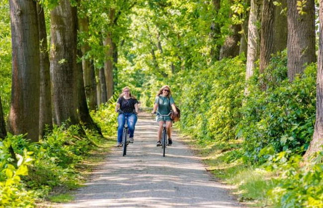 Rural House on Park Near Molenschot - Foto 36