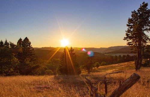 Ferienwohnung Emde - Foto 2