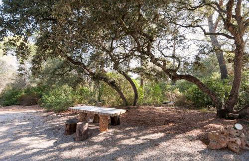 Sa Rota de Ca'n Blan by Sealand Villas - Foto 19