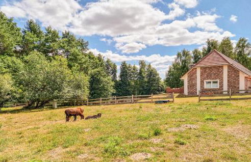 Pet Friendly Apartment - Foto 12