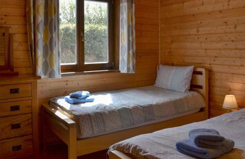 Dartmoor - Uk12537 - Foto 9