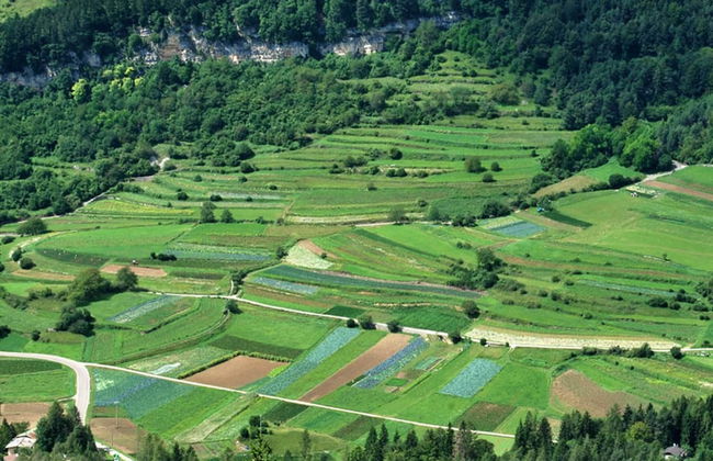 Agritur Piazera 3 - Photo 29