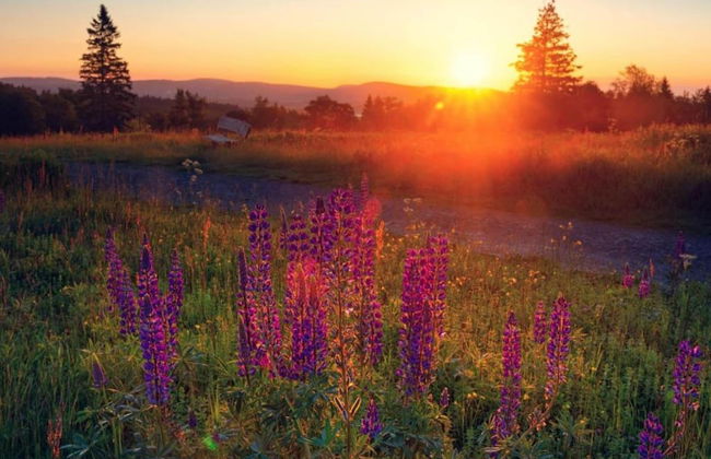 Enticing Apartment in Stormbruch near Ski Area - Photo 26