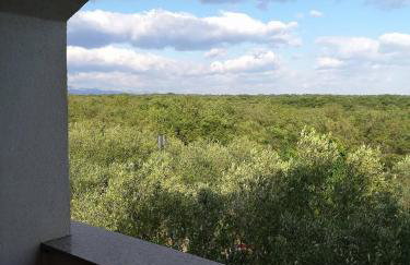 Apartments with a parking space Poljica, Zadar - 13289 - Foto 28