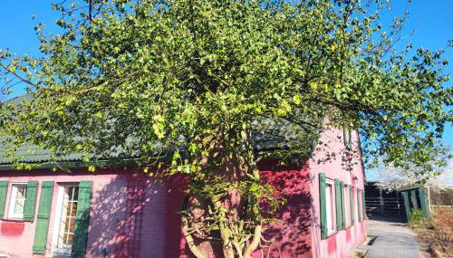 Ferienwohnung Waldrand am Niederrhein Holtwick - Foto 3