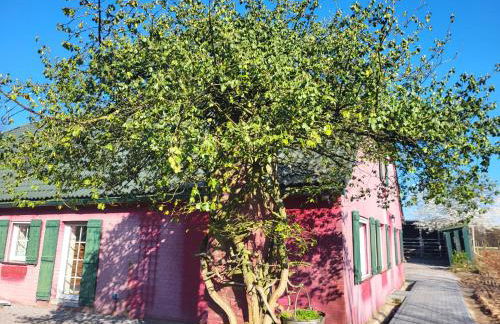 Ferienwohnung Waldrand am Niederrhein Holtwick - Foto 3