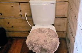 Sonho de verão - Foto 3