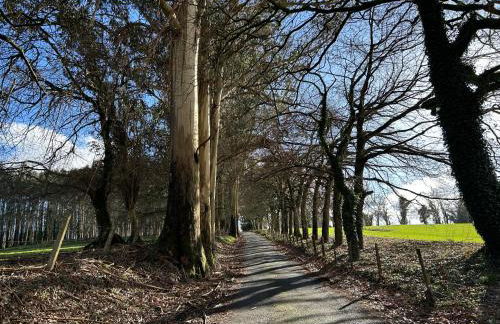 Casa Otilia - Rural - Camino de Santiago - Arzúa - Foto 56
