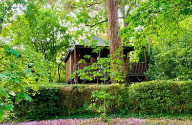 Cabane avec Jacuzzi privatif du Manoir du Parc - Adults only - Foto 14