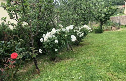 Monolocale La Mimosa - Foto 26