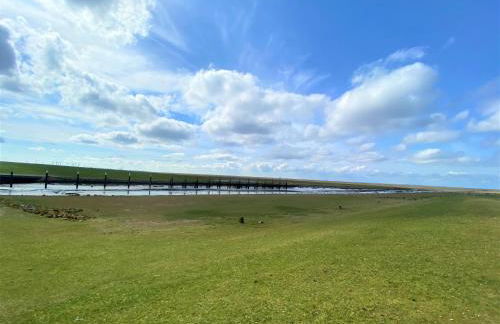 Appartement 1 mit Küche und neuem Bad, frisch saniert - Foto 8