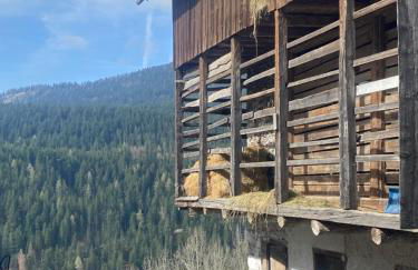 Cedä Meia - Foto 43