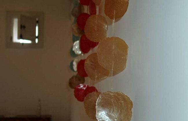 Chicchi di Melograno - Foto 20