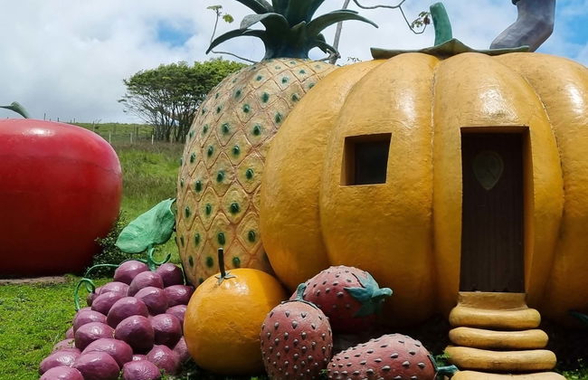 Excursion à Beto Carrero World - Photo 5