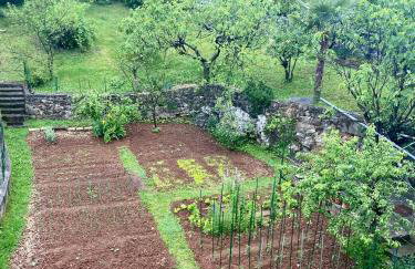 Apartman Mira - Photo 15