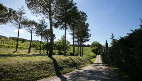 Tenuta San Filippo - Foto 4, Other