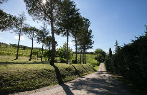 Tenuta San Filippo - Foto 4