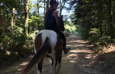 Jolie Tiny House sous les Grands Arbres - Photo 7