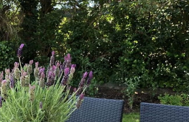 Small Break in Salzhausen - Foto 17