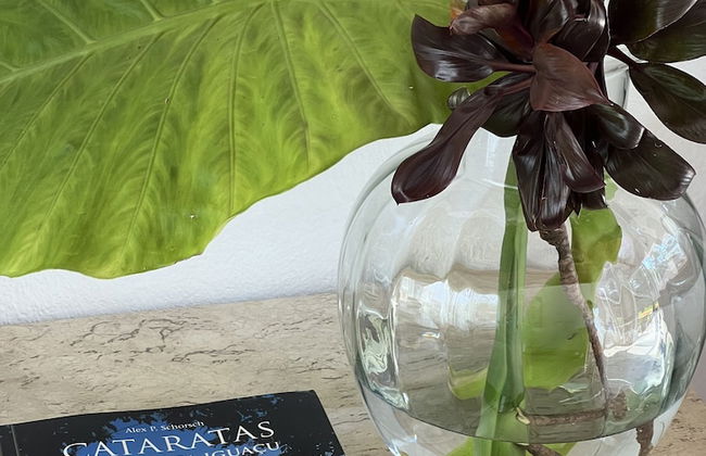 Alma Iguassu Vila - Foto 15