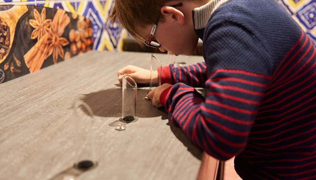 Descubriendo los diferentes aromas del cacao