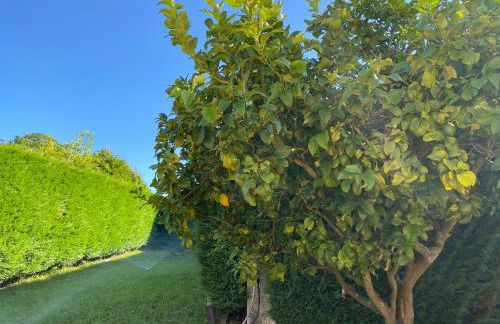 Casa Chichirica - Foto 51