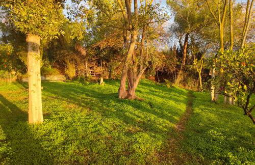 Las Brujas - Foto 20