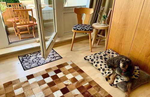 Studio Hase Saig - Photo 30