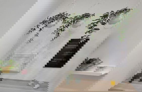 Allegria napoletana - Foto 1