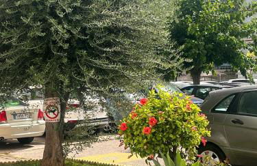 Apartamento en primera línea de playa Valdemar 1 - Foto 7