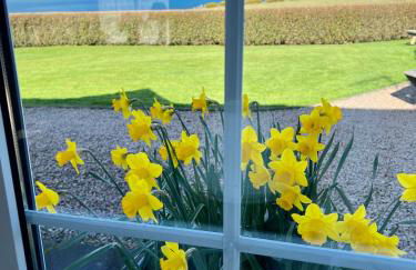 Tornaroan Cottage - Foto 24