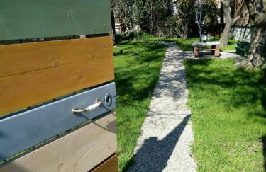 finestra tra cielo e mare - Photo 29