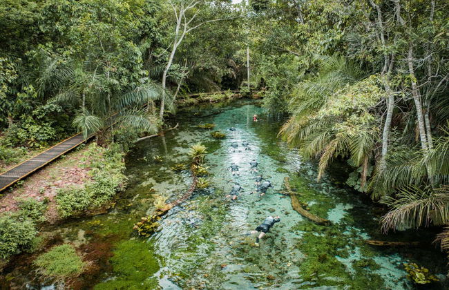 Snorkeling dans la rivière Bonito - Foto 7