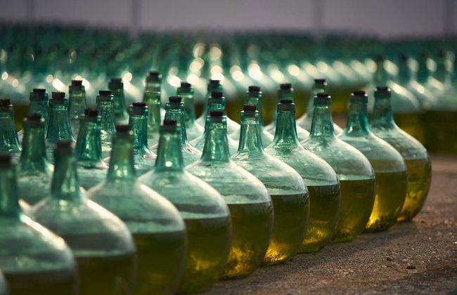 Bodegas De Alberto Tour - Photo 7