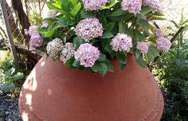 Magdalini Studio - Foto 34