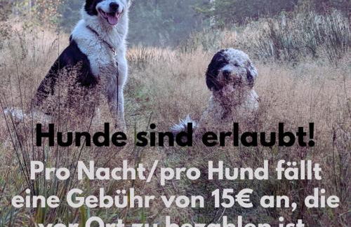 Ruhige Wohnung mit Ausblick - Foto 20