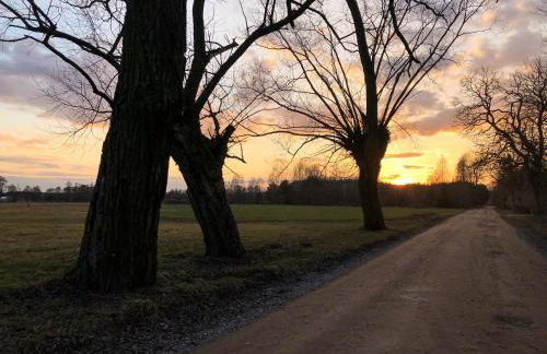 Dolina Bobrów - Foto 41