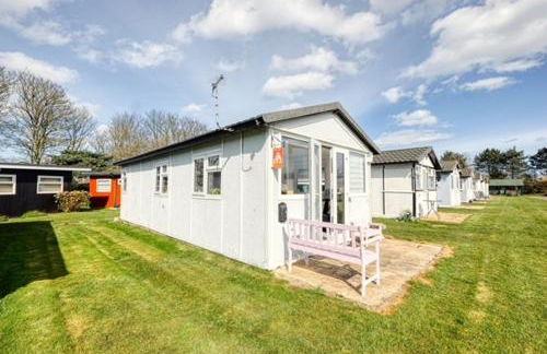 The Happy Hedgehog - Foto 12